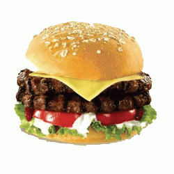 American Beef Burger (Halal)  (48x113g)